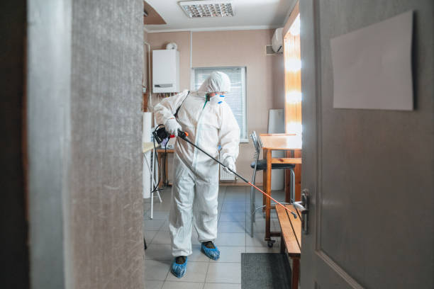 Mold Removal for HVAC Installations in Ransomville, NY