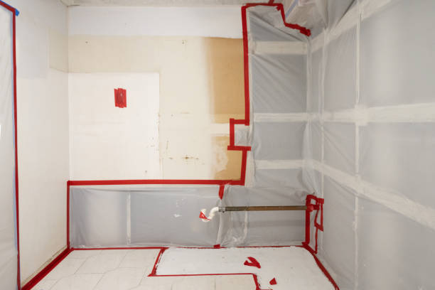 Professional Mold Removal in Ransomville, NY