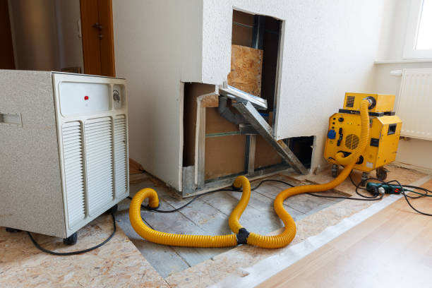 Best Post-Remediation Verification Testing  in Ransomville, NY