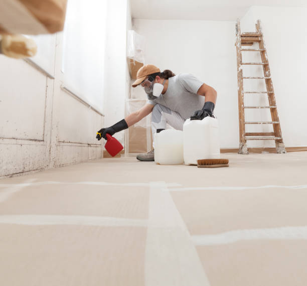 Dehumidification Services in Ransomville, NY