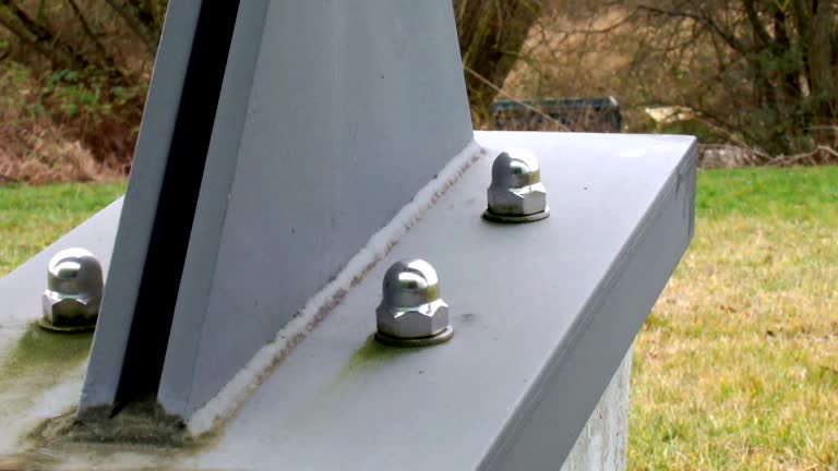 Best Commercial Mold Inspection  in Ransomville, NY